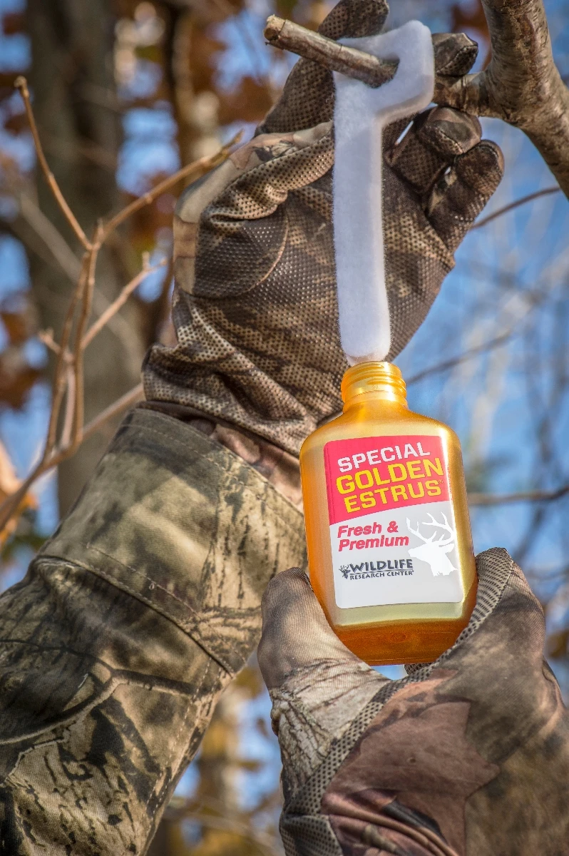 Wildlife Research Special Golden Estrus 4oz 4 Wildlife Research Special Golden Estrus 4oz - Image 2
