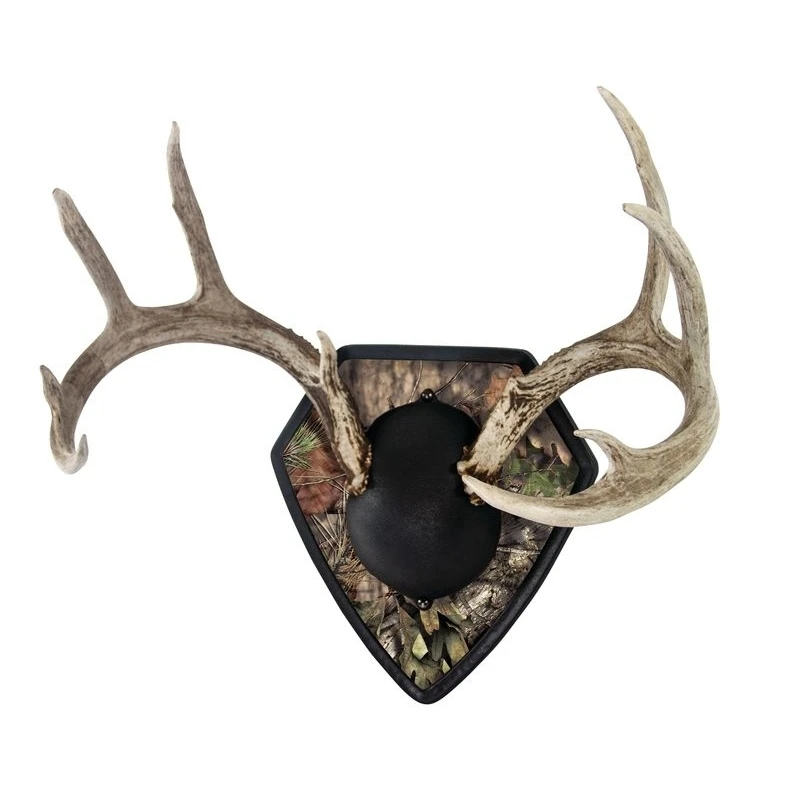 Allen Big Buck Trophy Mount Kit, Mossy Oak Break-Up Country 3 Allen Big Buck Trophy Mount Kit, Mossy Oak Break-Up Country