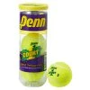 Penn Court One Tennis Balls -Outlet Track N Hook Store 13160001 1 1
