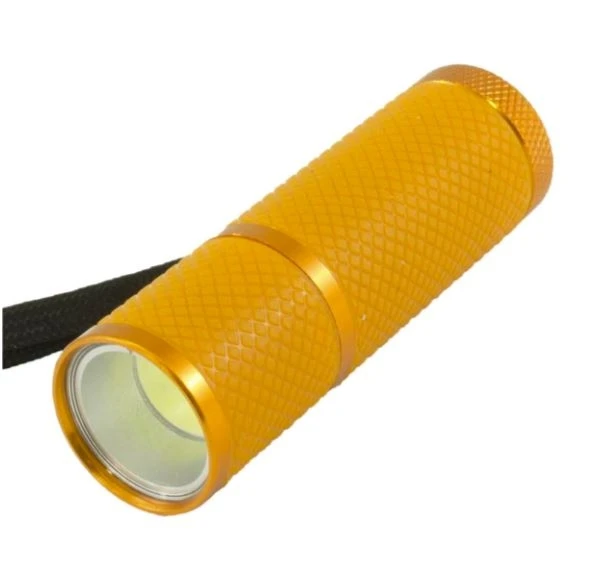 LitezAll Glow In the Dark LED Pocket Flashlight with COB LED, Assorted 3 LitezAll Glow In the Dark LED Pocket Flashlight with COB LED, Assorted