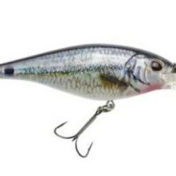 Berkley Fishing Flicker Shad Lure #5 -Outlet Track N Hook Store 2354422 hd spottail shiner 1