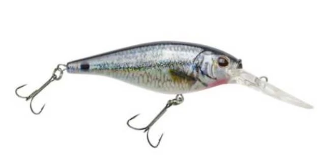 Berkley Fishing Flicker Shad Lure #7 8 Berkley Fishing Flicker Shad Lure #7 - Image 6