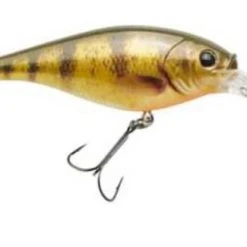 Berkley Fishing Flicker Shad Lure #7 14 Berkley Fishing Flicker Shad Lure #7 -Outlet Track N Hook Store 2354423 hd yellow perch 2 1