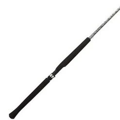 Berkley® C-Series Crappie Pro Light Spinning Rod - 10 feet