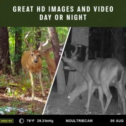 Moultrie Mobile Delta Base Cellular Trail Camera -Outlet Track N Hook Store 27020061 3 2 1