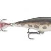 Rapala Skitter Pop, 2 3/4" -Outlet Track N Hook Store 3098600 frog 1