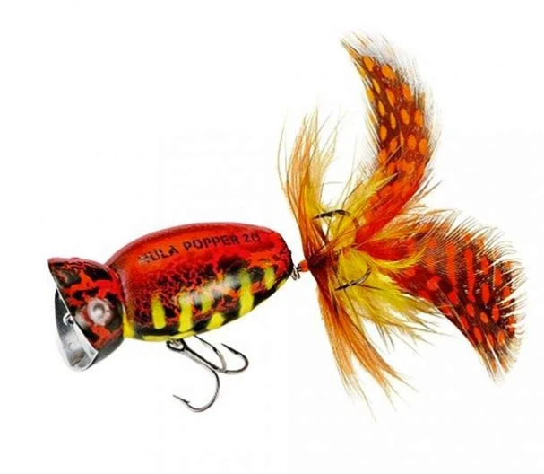 Lindy Arbogast Hula Popper 2.0 6 Lindy Arbogast Hula Popper 2.0 - Image 4