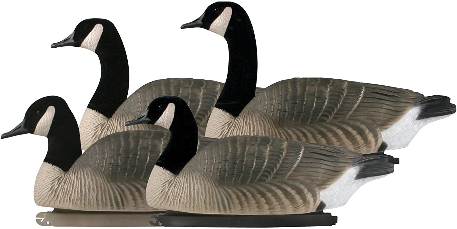 Avery GHG Pro Grade Canada Goose Floater Decoys – 4 Pack, Active 3 Avery GHG Pro Grade Canada Goose Floater Decoys – 4 Pack, Active