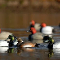 Avery GHG Life Size Bluebill Floater Decoys - 6 Pack 12 Avery GHG Life Size Bluebill Floater Decoys - 6 Pack -Outlet Track N Hook Store 42410881 4 1