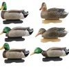 Avery Pro Grade Foam Filled Mallards Harvester, 6-Pack -Outlet Track N Hook Store 42411101