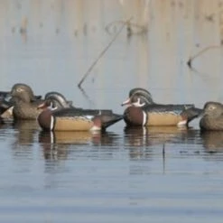 Avery Pro-Grade Series Wood Ducks, 6-Pack 5 Avery Pro-Grade Series Wood Ducks, 6-Pack -Outlet Track N Hook Store 42411103 1