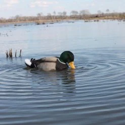 MOJO HW 2443 Rippler 12 MOJO HW 2443 Rippler -Outlet Track N Hook Store 67970002 5 1