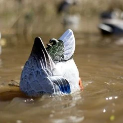 MOJO HW2459 Butt Up Rippler