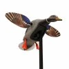 MOJO Elite Series Mini Mallard Drake 1 MOJO Elite Series Mini Mallard Drake -Outlet Track N Hook Store 67970012 4 1