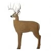 Feradyne Outdoors GlenDel Buck 3D Archery Target 2 Feradyne Outdoors GlenDel Buck 3D Archery Target -Outlet Track N Hook Store 68890207 1 1