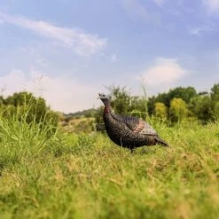 Flextone Thunder Jake ¼ Strut Turkey Decoy -Outlet Track N Hook Store 69670001 2 1