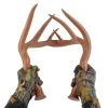 Primos Call Fightin' Horns 2 Primos Call Fightin' Horns -Outlet Track N Hook Store 710 fightin horns 1