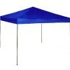 WFS 10' x 10' Blue Canopy -Outlet Track N Hook Store 72240013 1