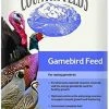 Nutrena Country Feeds Gamebird – 50 lb 1 Nutrena Country Feeds Gamebird – 50 lb -Outlet Track N Hook Store 95277 1