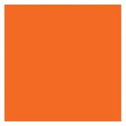 Carolina Blaze Orange Solid Bandanna