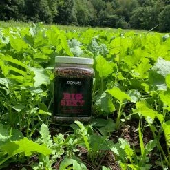 Domain Big Sexy Annual Mix 9 Domain Big Sexy Annual Mix -Outlet Track N Hook Store bsfp3bigsexy 2 1