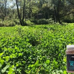 Domain Comeback Kid Perennial Mix 9 Domain Comeback Kid Perennial Mix -Outlet Track N Hook Store cbkfp375comebackkid 2 1