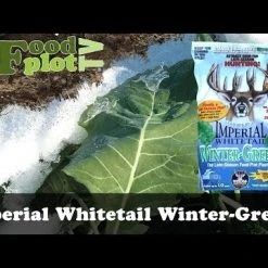 Whitetail Institute Imperial Winter-Greens (Annual) - 3 LB -Outlet Track N Hook Store hqdefault 30 51 1