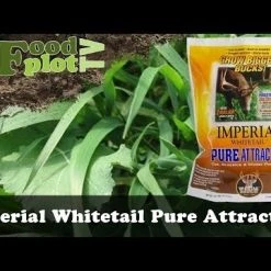 Whitetail Institute Imperial Pure Attraction (Annual) - 26 LB -Outlet Track N Hook Store hqdefault 30 53 1