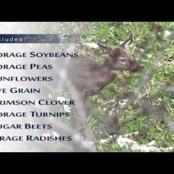 Frigid Forage Monster Magnet – 8.5 lb / 1/3 Acre Bag -Outlet Track N Hook Store hqdefault 30 65 1