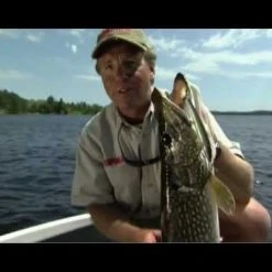 Rapala Down Deep Husky Jerk | DHJ 31 Rapala Down Deep Husky Jerk | DHJ -Outlet Track N Hook Store hqdefault 32 3