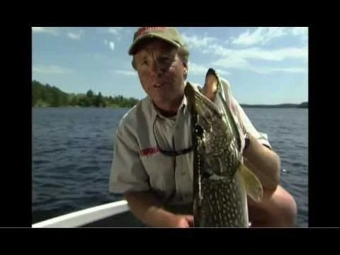 Rapala Down Deep Husky Jerk | DHJ 17 Rapala Down Deep Husky Jerk | DHJ - Image 15