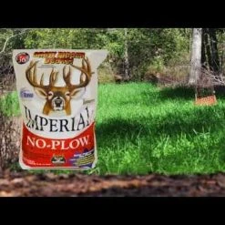 Whitetail Imperial No-Plow (Annual) 9lb (.5 Acre) 9 Whitetail Imperial No-Plow (Annual) 9lb (.5 Acre) -Outlet Track N Hook Store hqdefault 42 15 1