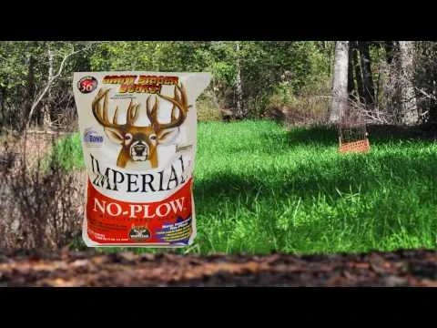 Whitetail Imperial No-Plow (Annual) 9lb (.5 Acre) 6 Whitetail Imperial No-Plow (Annual) 9lb (.5 Acre) - Image 4