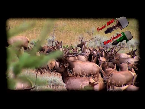 Hoochie Mama Elk Call Push 4 Hoochie Mama Elk Call Push - Image 2