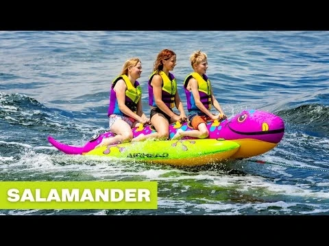 Airhead Salamander, 132" X 48" 4 Airhead Salamander, 132" X 48" - Image 2