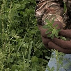 Frigid Forage Wall Hanger – 4 lb / 1/2 Acre Bag 9 Frigid Forage Wall Hanger – 4 lb / 1/2 Acre Bag -Outlet Track N Hook Store wallhng4.0 3 1