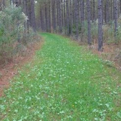 Whitetail Imperial No-Plow (Annual) 9lb (.5 Acre) 8 Whitetail Imperial No-Plow (Annual) 9lb (.5 Acre) -Outlet Track N Hook Store webimg 2830 14452.1372867248 1