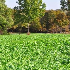 Outlet Track N Hook Store -Outlet Track N Hook Store wg3 2 1