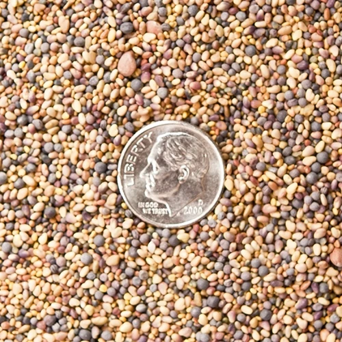 Frigid Forage Wild Game Buffet – 4 lb / 1/2 Acre Bag 4 Frigid Forage Wild Game Buffet – 4 lb / 1/2 Acre Bag - Image 2