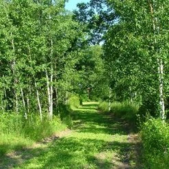 Frigid Forage Wild Game Buffet – 4 lb / 1/2 Acre Bag 12 Frigid Forage Wild Game Buffet – 4 lb / 1/2 Acre Bag -Outlet Track N Hook Store wldgmb4.0 5 1