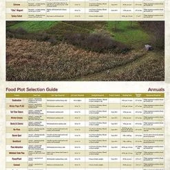 Whitetail Institute Imperial Whitetail Winter Peas PLUS - 11 LB -Outlet Track N Hook Store wp11 5 1 1